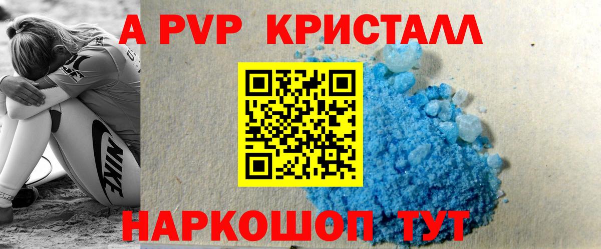 Alfa_PVP СК Гатчина