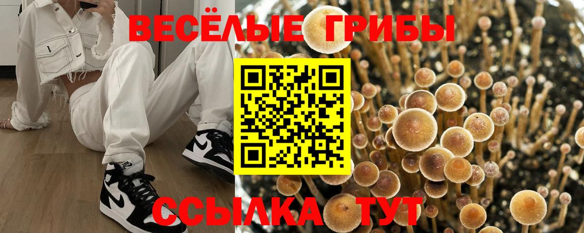Галлюциногенные грибы мухоморы Гатчина