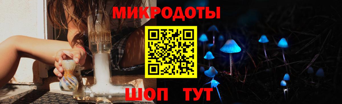 Гатчина  Псилоцибиновые грибы Cubensis  Вход с VPN  Галлюциногенные грибы ЛСД 